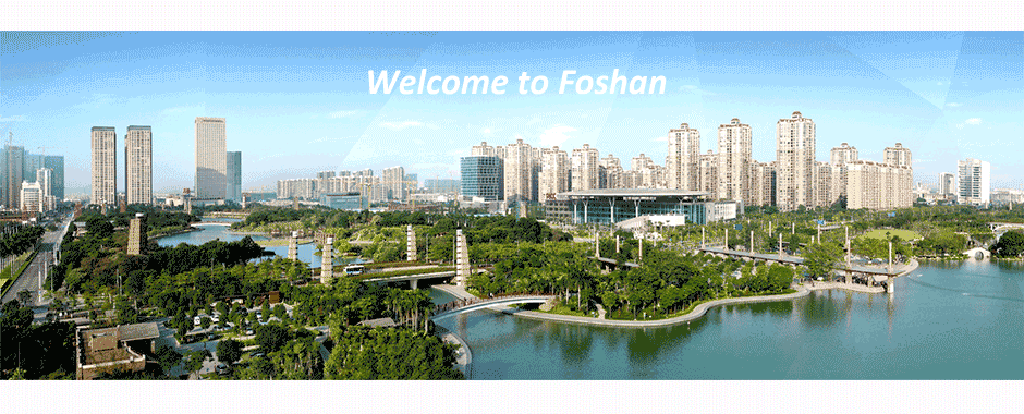 Chinese Language School in Foshan